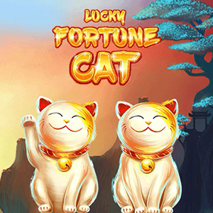 Lucky Fortune Cat